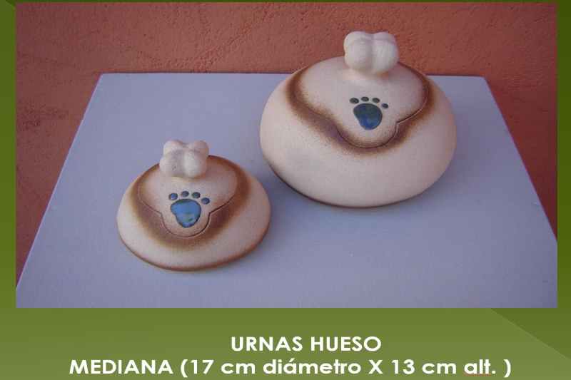 Urnas Medianas Hueso